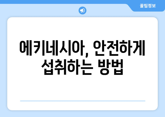 에키네시아 효능, 부작용, 먹는 법 총정리 | 면역력 강화, 감기 예방, 건강 정보