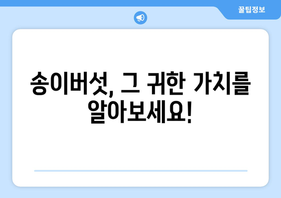 송이버섯의 모든 것| 효능, 부작용, 먹는 법, 보관법까지 완벽 가이드 | 송이버섯 효능, 송이버섯 부작용, 송이버섯 먹는 법, 송이버섯 보관법