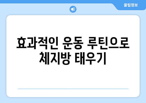 하버드식 다이어트와 매일 운동, 성공적인 다이어트 전략 | 건강, 체중 감량, 식단 관리, 운동 루틴