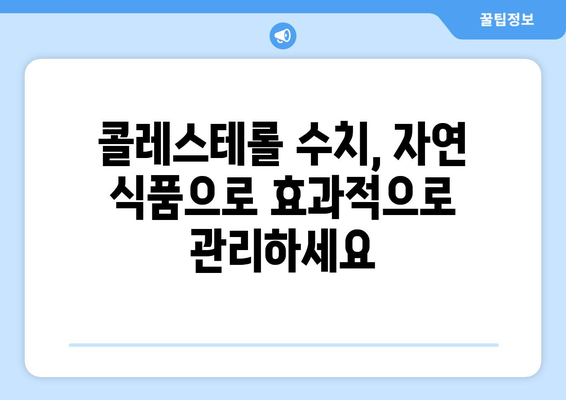 고지혈증, 고콜레스테롤혈증 걱정 끝! 콜레스테롤 수치 개선에 좋은 음식 10가지 | 건강 식단, 콜레스테롤 관리, 혈관 건강