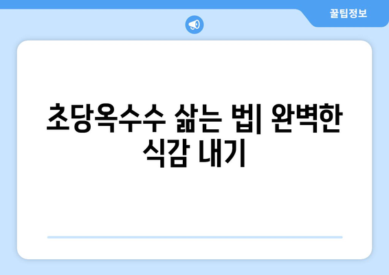 초당옥수수 완벽 가이드| 특징, 칼로리, 삶는 법, 먹는 법, 보관법까지 | 옥수수, 꿀옥수수, 요리 레시피