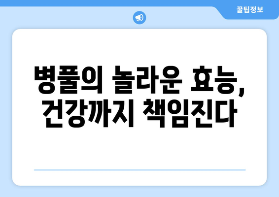 병풀 효능, 부작용, 먹는 법까지! 고투콜라 추출물의 모든 것 | 피부, 건강, 효과, 주의사항