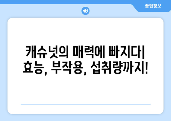 캐슈넛의 놀라운 효능과 부작용, 하루 섭취량까지! 칼로리가 낮은 견과류의 선택 | 건강, 영양, 다이어트, 견과류