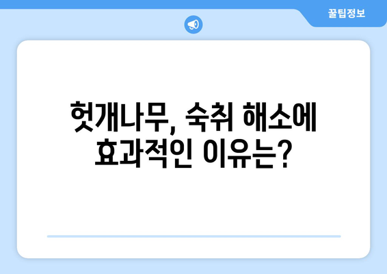 헛개나무 효능, 부작용, 끓이는 법 완벽 정리 | 헛개차, 지구자차, 건강 정보, 효능 비교