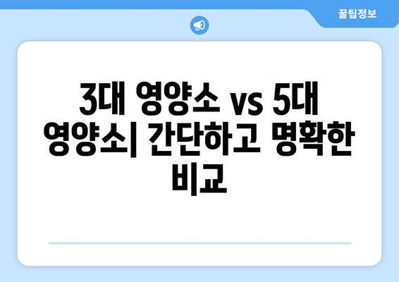 3대 영양소 vs 5대 영양소| 간단 명료하게 비교 정리 | 영양, 건강, 식단