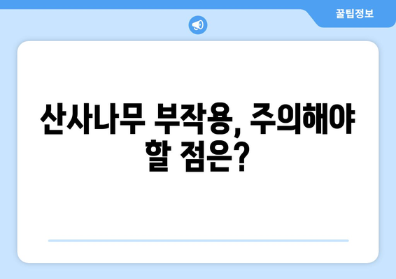 산사나무 효능, 부작용, 열매 먹는 법 총정리| 꽃사과와 비교분석 | 산사나무 효능, 산사나무 부작용, 산사나무 열매, 꽃사과