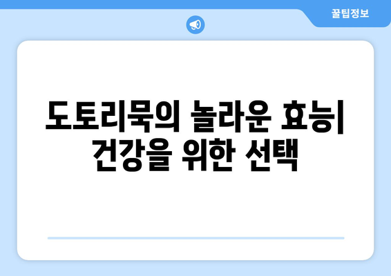 도토리묵, 건강에 좋은 음식이지만? | 도토리묵 부작용, 섭취 시 주의 사항, 알레르기 정보