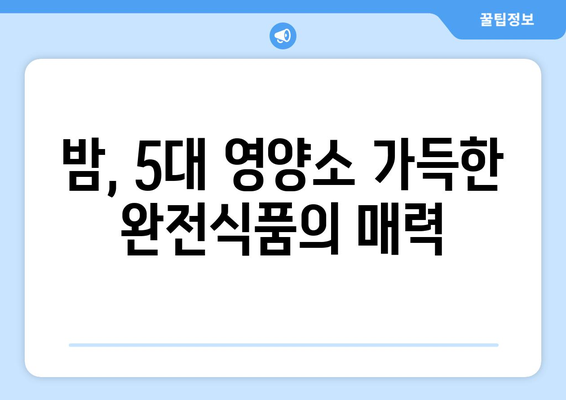 밤| 완전식품의 숨겨진 효능, 영양성분, 부작용까지 파헤치기 | 5대 영양소, 건강, 밤의 모든 것