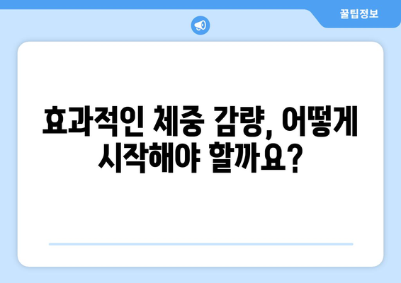 다이어트 성공을 위한 유명 다이어트 방법 6가지 | 효과적인 체중 감량, 건강한 식단, 운동 팁