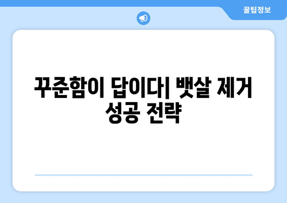 뱃살 제거를 위한 12가지 팁| 효과적인 운동과 식단 가이드 | 뱃살, 다이어트, 운동, 식단, 건강