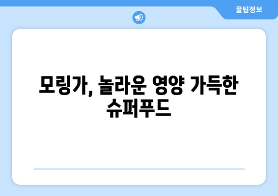 모링가 효능과 부작용, 영양 성분, 섭취 방법 총정리 | 건강, 식품, 슈퍼푸드, 모링가 효능, 모링가 부작용