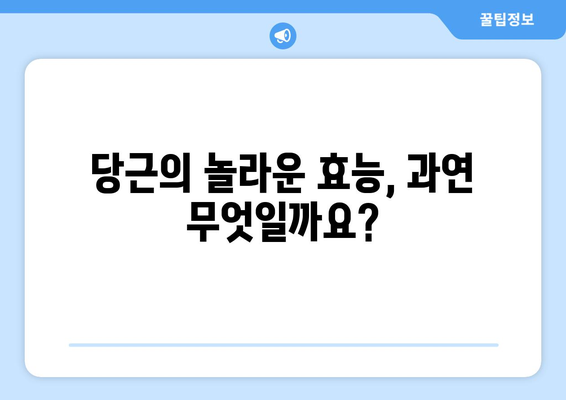 당근의 놀라운 효능과 부작용, 맛있게 먹는 법까지! 눈 건강 지키는 필수 채소 | 당근 효능, 부작용, 레시피, 눈 건강