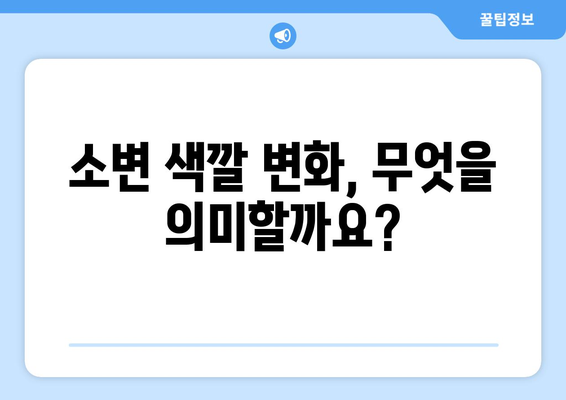 소변 색깔이 말해주는 건강 신호 | 건강 지표, 소변 색깔 변화, 건강 관리 팁