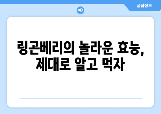 링곤베리의 효능과 부작용, 맛있게 즐기는 방법까지! 고르는 팁부터 보관법까지 완벽 가이드 | 링곤베리, 효능, 부작용, 보관, 먹는법, 고르는법