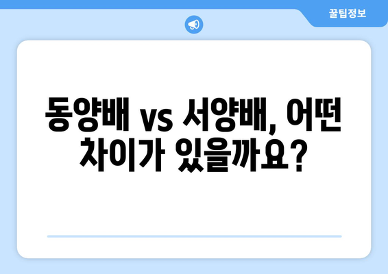 배의 모든 것| 효능, 영양, 먹는 법, 주의사항, 동양배와 서양배 비교 | 배, 건강, 과일, 섭취