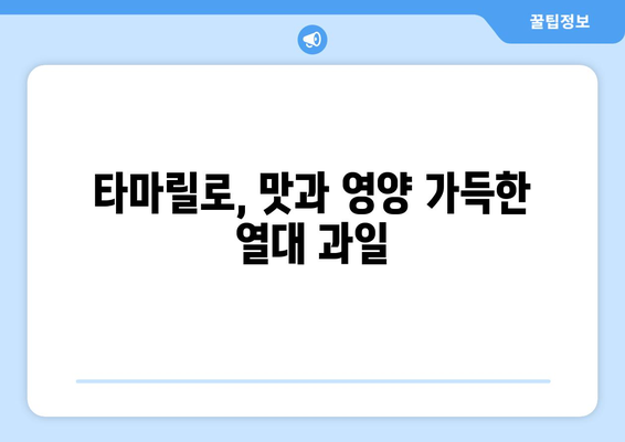 타마릴로 효능부터 부작용, 고르는 법까지! 완벽 가이드 | 타마릴로, 효능, 부작용, 고르는 법, 먹는 법, 레시피