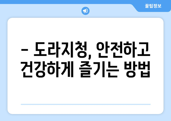 도라지청의 부작용, 알고 드세요! | 도라지 효능, 주의사항, 부작용 정보