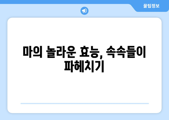 마의 효능, 부작용, 영양성분, 마즙 먹는 법 총정리| 건강하게 즐기는 마의 모든 것 | 마 효능, 마 부작용, 마즙 만드는 법, 마즙 효능, 마 효능 부작용