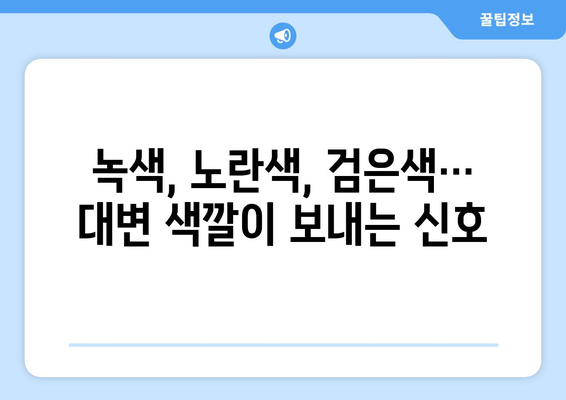 대변 색깔이 말해주는 건강 신호| 당신의 몸이 보내는 메시지 | 변비, 설사, 소화, 건강 상태, 건강 관리