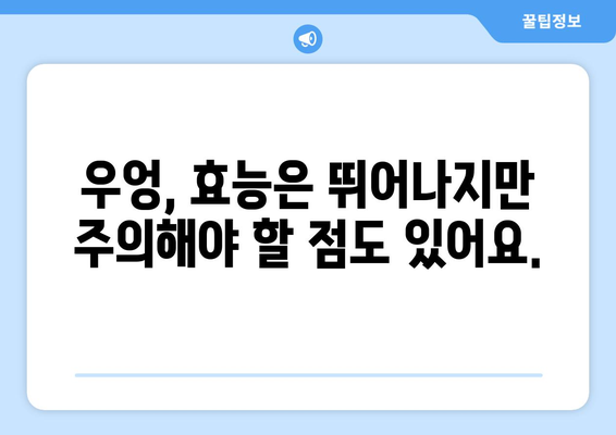 우엉의 효능과 부작용, 그리고 맛있는 우엉차 만드는 법 | 건강, 차, 레시피, 효능