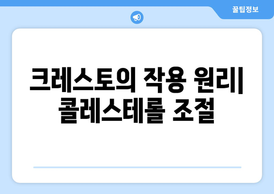 크레스토의 작용 기전| 심혈관 질환 개선을 위한 약리 작용과 주요 효능 | 크레스토, 심혈관 질환, 고지혈증, 스타틴, 약리 작용, 부작용