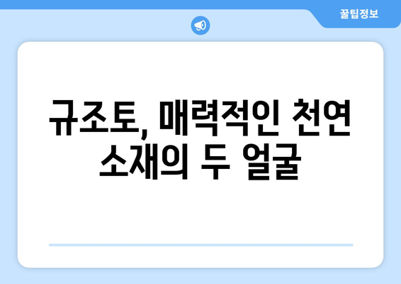 규조토 사용, 부작용 알고 안전하게! | 규조토, 건강, 주의사항, 활용법