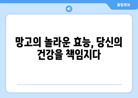 망고의 모든 것| 효능, 부작용, 먹는 법, 보관법 총정리 | 망고, 과일, 건강, 영양, 팁