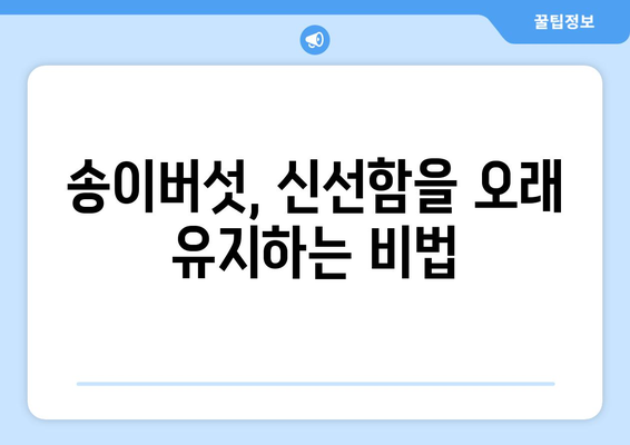 송이버섯의 모든 것| 효능, 부작용, 먹는 법, 보관법까지 완벽 가이드 | 송이버섯 효능, 송이버섯 부작용, 송이버섯 먹는 법, 송이버섯 보관법