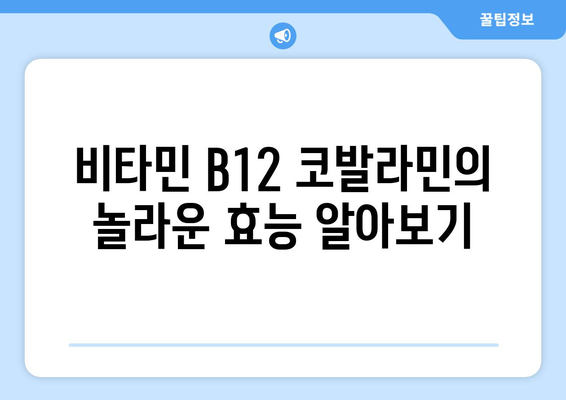 비타민 B12 코발라민| 효능, 부작용, 권장 섭취량 & 풍부한 음식 | 건강, 영양, 비타민, 코발라민, 섭취