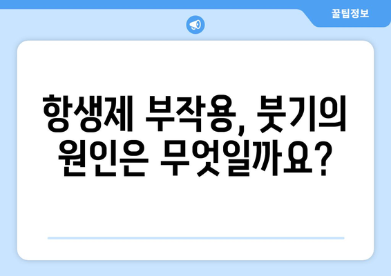 항생제 부작용으로 인한 붓기, 원인과 대처법 | 항생제 부작용, 붓기, 치료, 관리