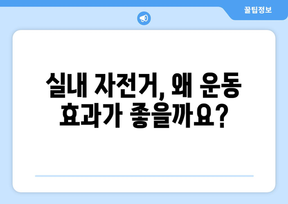 실내 자전거 운동 효과 극대화! 나에게 딱 맞는 자전거 고르는 방법 | 유산소 운동, 실내 자전거 추천, 운동 효과 팁