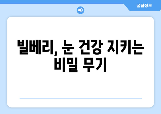 빌베리의 놀라운 효능과 부작용, 영양성분까지! 빌베리 제품 추천 | 눈 건강, 항산화, 섭취 방법, 부작용