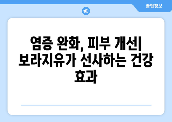 보라지유, 감마리놀렌산 효능과 부작용 그리고 보라지오일 vs 달맞이종자유 비교 | 건강, 오메가-6, 염증, 피부, 갱년기