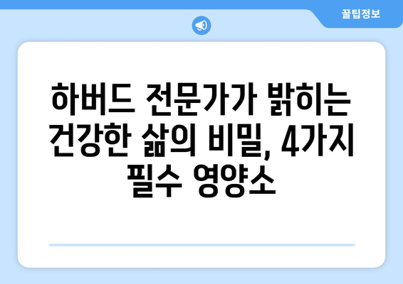 하버드 영양학 전문가가 추천하는 꼭 챙겨야 할 4가지 필수 영양소 | 건강, 영양, 식단, 하버드대학교