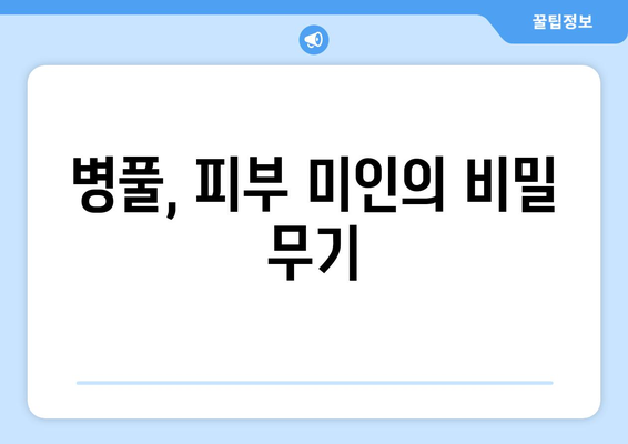 병풀 효능, 부작용, 먹는 법까지! 고투콜라 추출물의 모든 것 | 피부, 건강, 효과, 주의사항