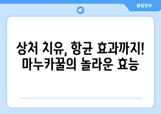 마누카꿀의 놀라운 효능과 부작용, 먹는법까지 완벽 정복 | 마누카꿀, 효능, 부작용, 먹는법, 다른 꿀과의 차이