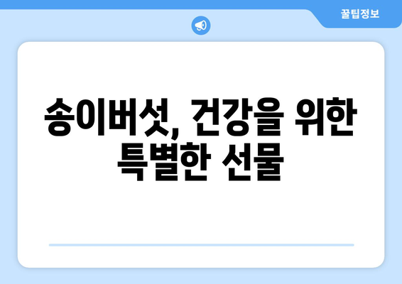 송이버섯의 모든 것| 효능, 부작용, 먹는 법, 보관법까지 완벽 가이드 | 송이버섯 효능, 송이버섯 부작용, 송이버섯 먹는 법, 송이버섯 보관법