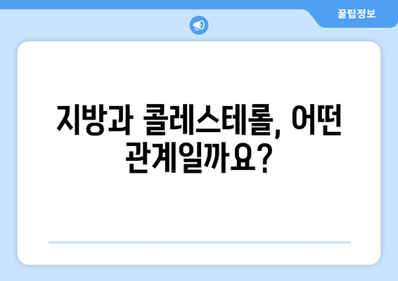 지방과 콜레스테롤| 당신의 건강을 위협하는 관계 | 건강, 식단, 고지혈증, 콜레스테롤 관리