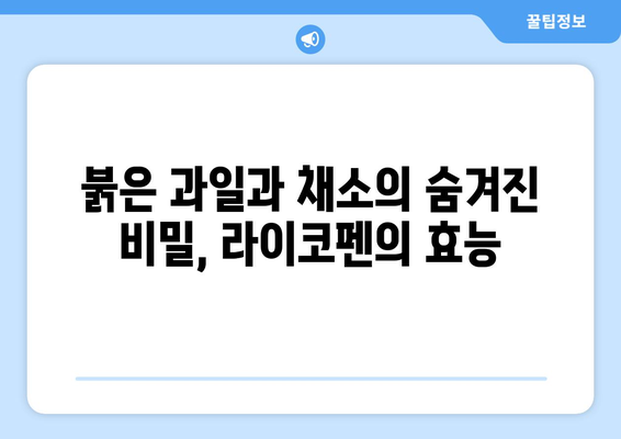 라이코펜 풍부한 과일 & 음식 10가지| 건강을 위한 붉은 맛 | 라이코펜, 토마토, 수박, 망고, 건강 식단