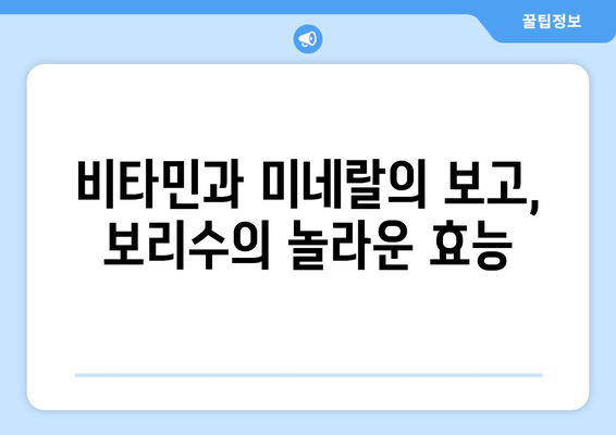 보리수 효능, 부작용, 먹는 법 총정리| 미네랄과 비타민이 풍부한 보리수의 모든 것 | 건강, 효능, 부작용, 레시피