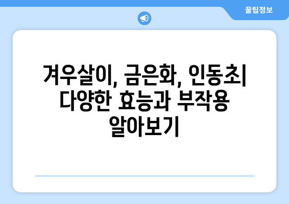 겨우살이, 금은화, 인동초| 효능, 부작용, 먹는 법 총정리 | 건강, 약초, 민간요법, 면역력