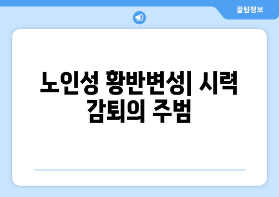 노인성 황반변성으로 인한 시력 감퇴| 증상, 원인, 치료 및 예방 가이드 | 황반변성, 시력 저하, 눈 건강