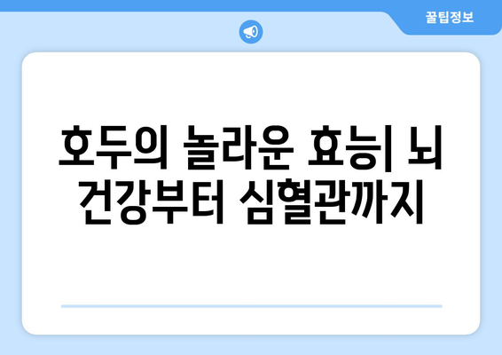 호두의 놀라운 효능과 주의해야 할 부작용 완벽 정리 | 건강, 영양, 식단, 섭취