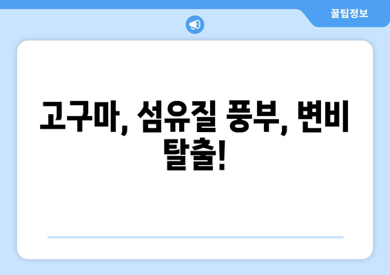 고구마, 건강에 좋은 효능과 주의해야 할 부작용 완벽 정리 | 고구마 효능, 고구마 부작용, 고구마 영양