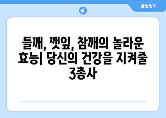 들깨, 깻잎, 참깨의 놀라운 효능과 영양 성분 | 들깨 들기름 깻잎 효능 영양 성분 주의 사항 깨 그리고 들깨와 참깨