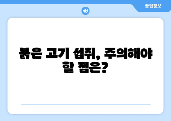 고지방 다이어트 붉은 고기, 몸에 어떤 변화가 일어날까? | 건강, 영양, 고기, 효과, 부작용