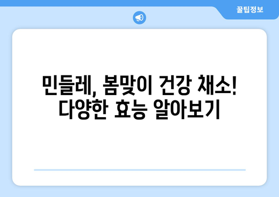 민들레 효능, 부작용, 영양 성분 완벽 정리! 맛있는 민들레차 끓이는 법까지 | 민들레, 건강, 차, 레시피