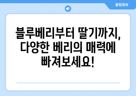 항산화 챔피언 베리 총집합| 건강을 위한 달콤한 선택 | 베리 종류, 효능, 섭취 방법, 레시피