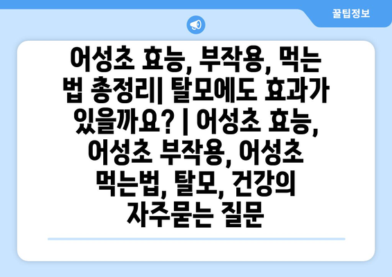 어성초 효능, 부작용, 먹는 법 총정리| 탈모에도 효과가 있을까요? | 어성초 효능, 어성초 부작용, 어성초 먹는법, 탈모, 건강