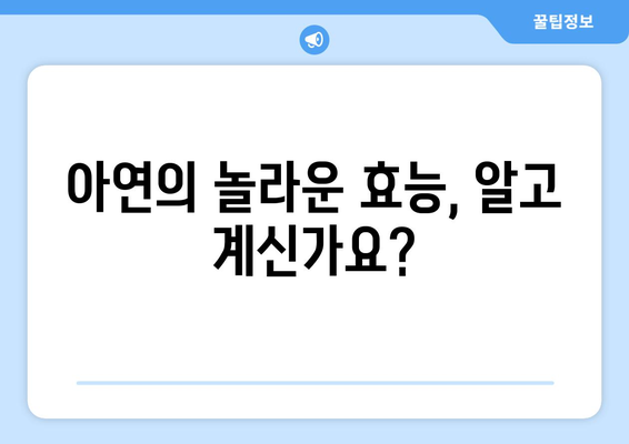 아연의 모든 것| 효능, 부작용, 결핍 증상, 아연이 풍부한 음식 | 건강, 영양, 면역